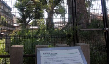 民衆を救った僧侶たち①