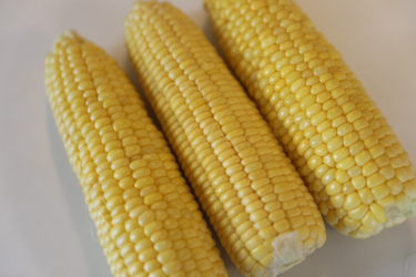 スイートコーンが増加中！