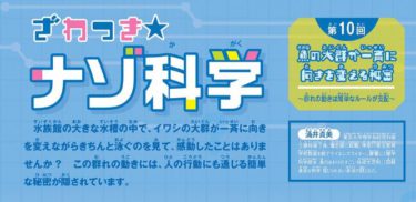 身近な不思議×夏休み自由研究