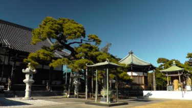 お彼岸ってなあに？【教えてお坊さん】