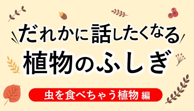 小学生生えかけのマン毛 だれかに話したくなる植物のふしぎ～虫を食べちゃう植物編～│ニュースがわかる オンライン