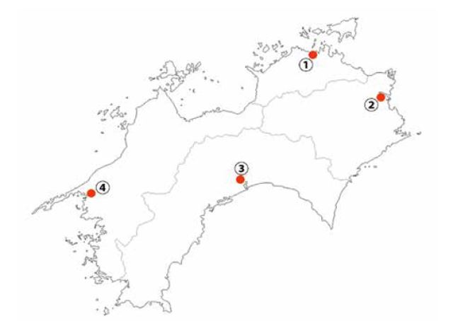 四国の県庁所在地で間違っているものは 地図地理検定に挑戦 ニュースがわかる オンライン