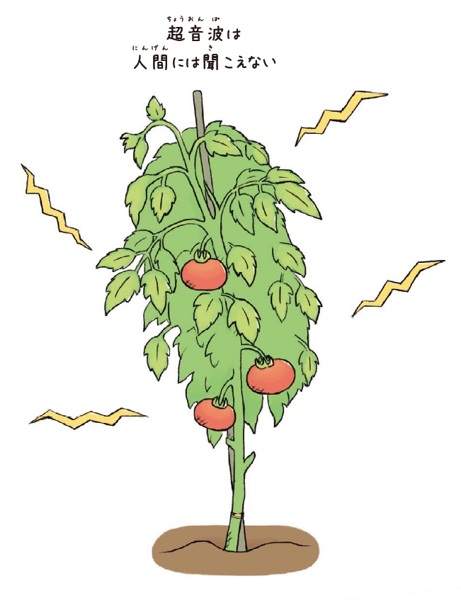 植物とお話しする法 植物とお話しする法 | 橋本 健 |本 | 通販 | Amazon