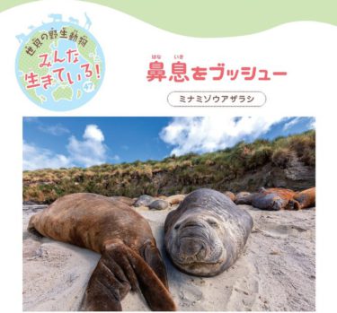 写真家・福田幸広さんの新刊 「仲間と暮らすニホンザル」 【取材の余白】