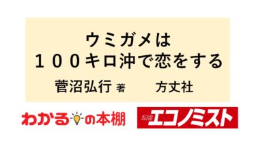 絶滅危惧種｢ウミガメ｣を守るためにできることとは？