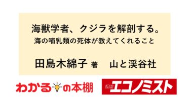 知られざる研究の裏側を明かした稀有なエッセー