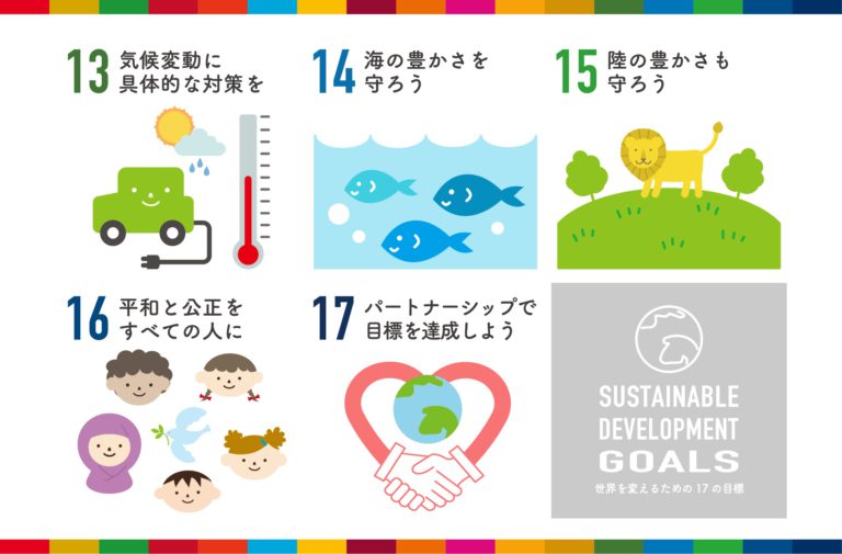 完全保存版 Sdgs 夏休み自由研究22 目標１３ １７