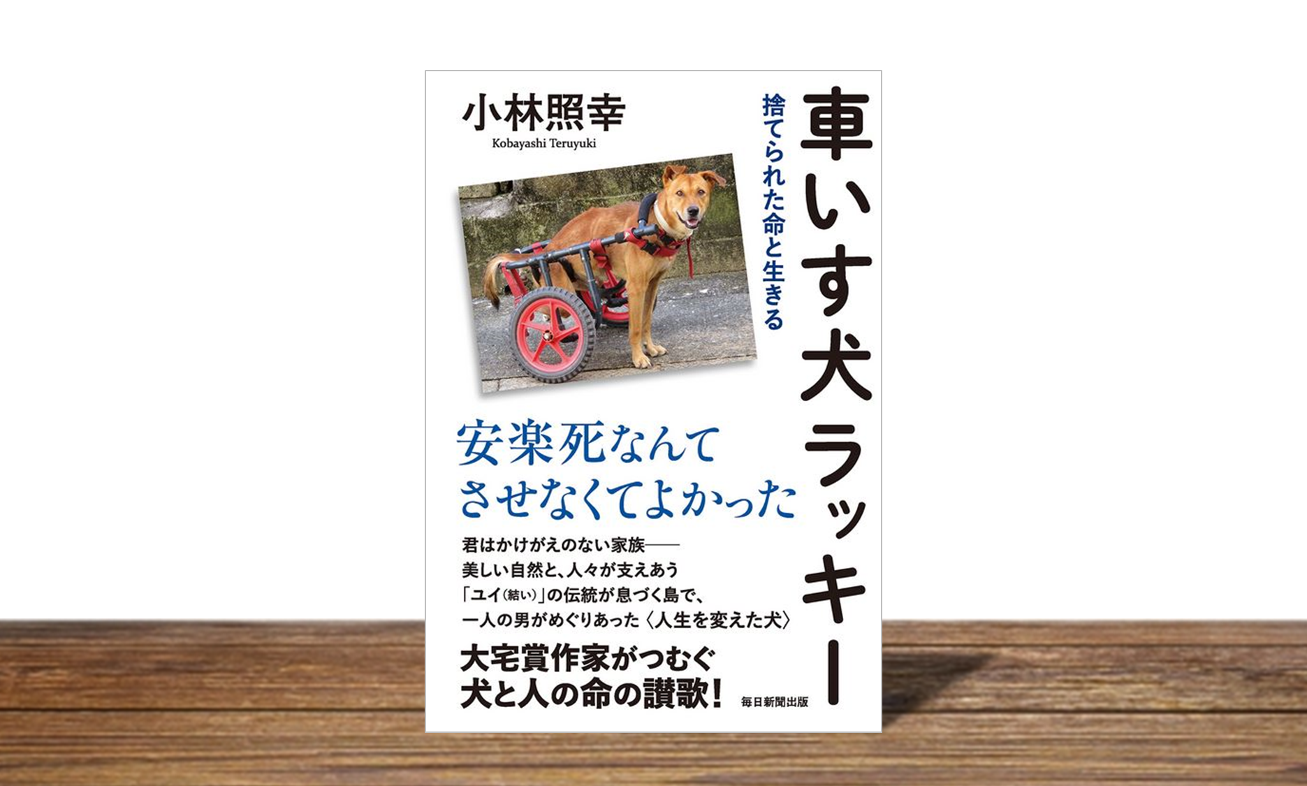 車いす犬ラッキー
