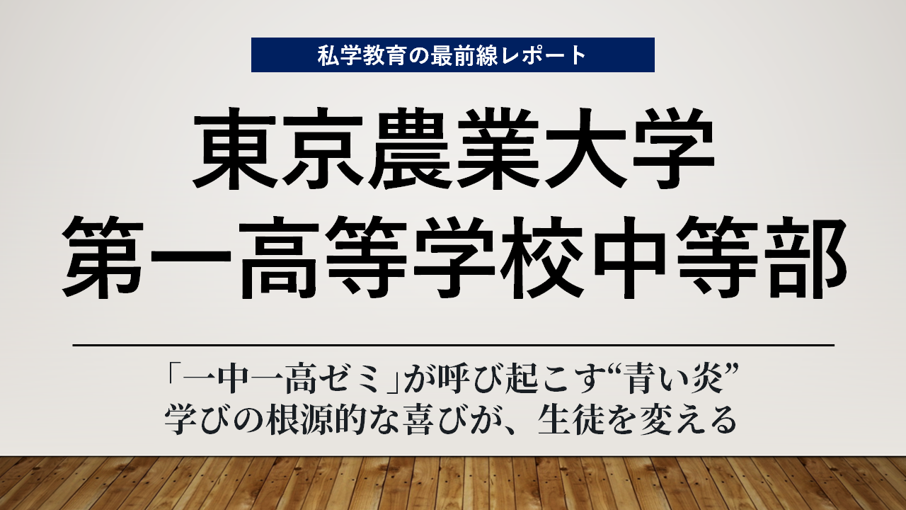 子どもの権利条約ゼミナール 新しい地球人になるために/かもがわ出版/増山均 子どもの権利条約ゼミナール 新しい地球人になるために ⁄ 増山均 日本