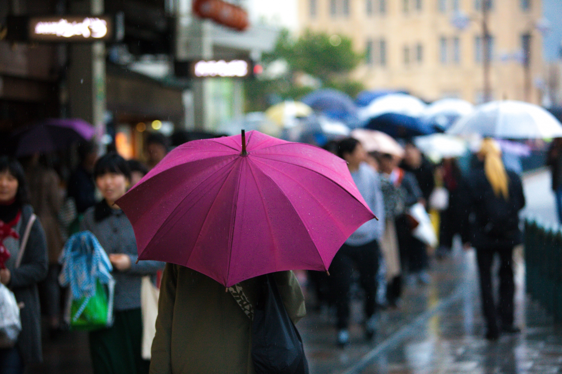 最近よく聞く｢線状降水帯｣って？