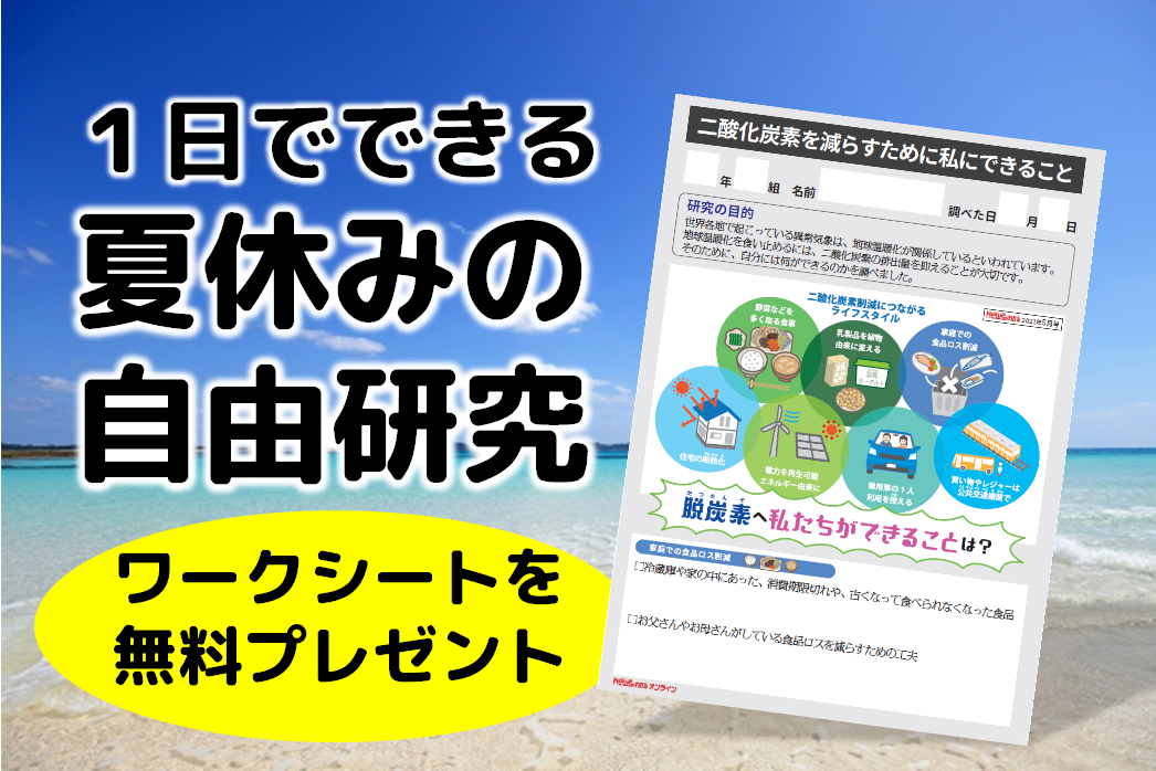 １日でできる夏休みの自由研究 二酸化炭素を減らすために私にできること ワークシート付