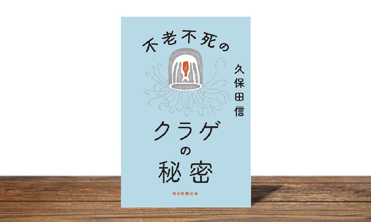 不老不死のクラゲの秘密