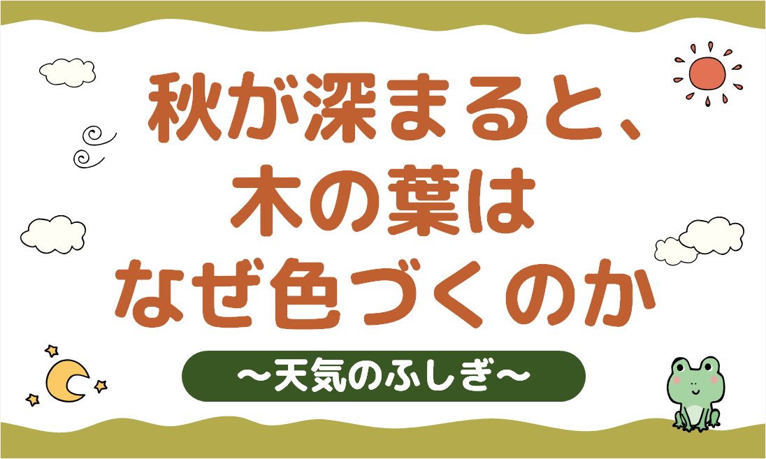 ポプラの秋('15「ポプラの秋」製作委員会) ポプラの秋('15「ポプラの秋」製作委員会) （マンガで、動画で