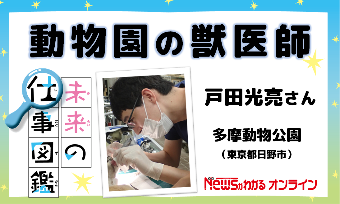 未来の仕事図鑑 多摩動物公園 東京都日野市 の獣医師 戸田光亮さん