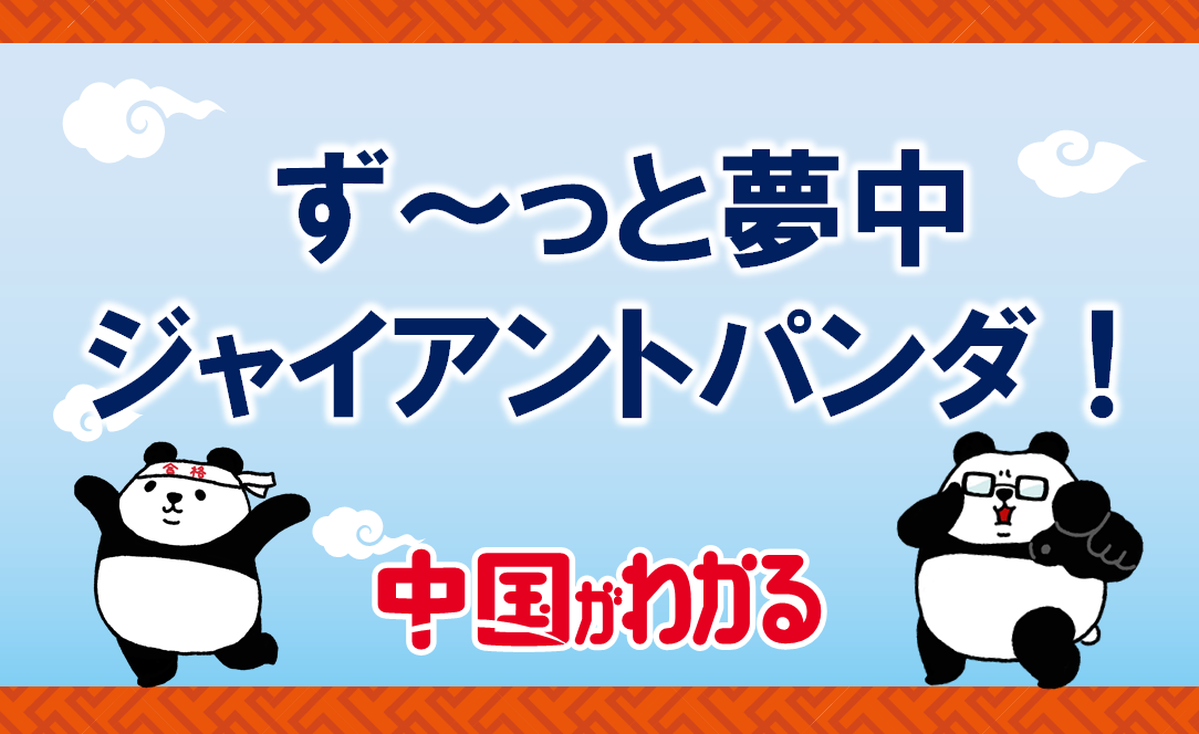 ずーっと夢中<br>ジャイアントパンダ！【中国がわかる】