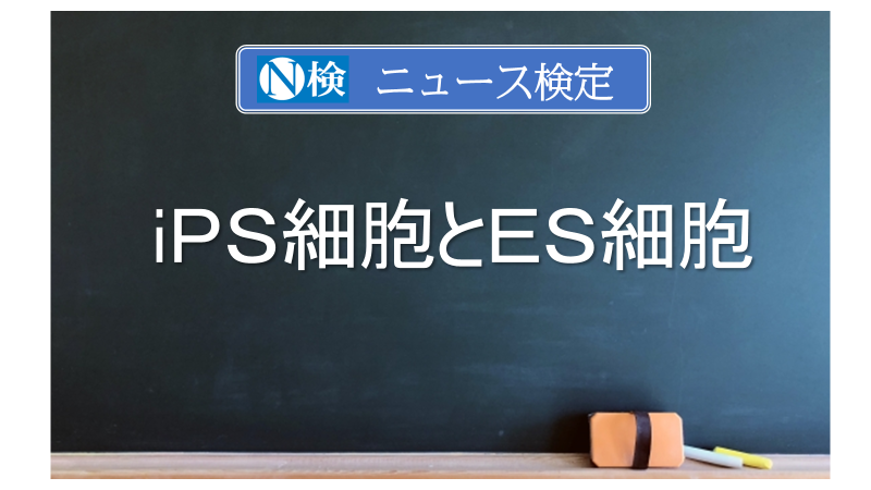 ｉＰＳ細胞とＥＳ細胞とは　｢ニュース検定｣がわかりやすく解説
