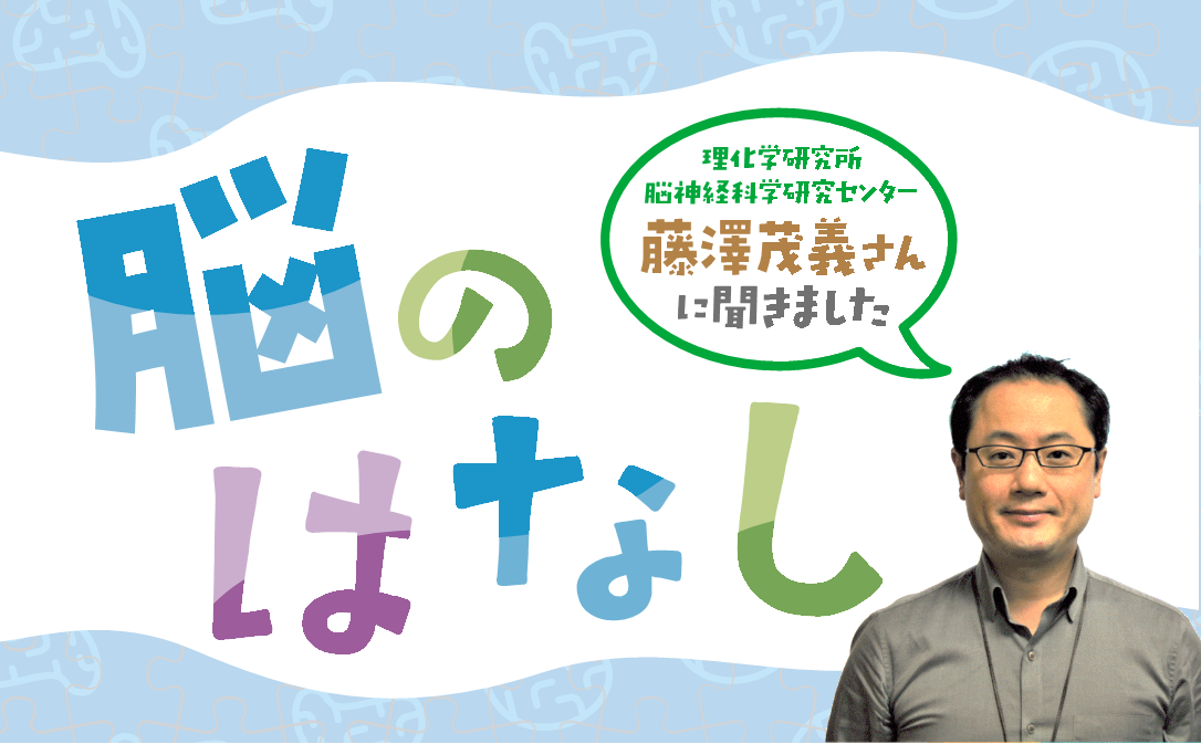 脳のはなし　教えてくれた人・藤澤茂義さん（理化学研究所脳神経科学研究センター）