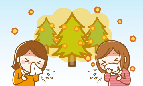 なぜかかる花粉症【ニュース知りたいんジャー】