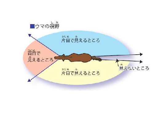 高峰譲吉（たかみねじょうきち）」ってどんなひと？世界を動かし