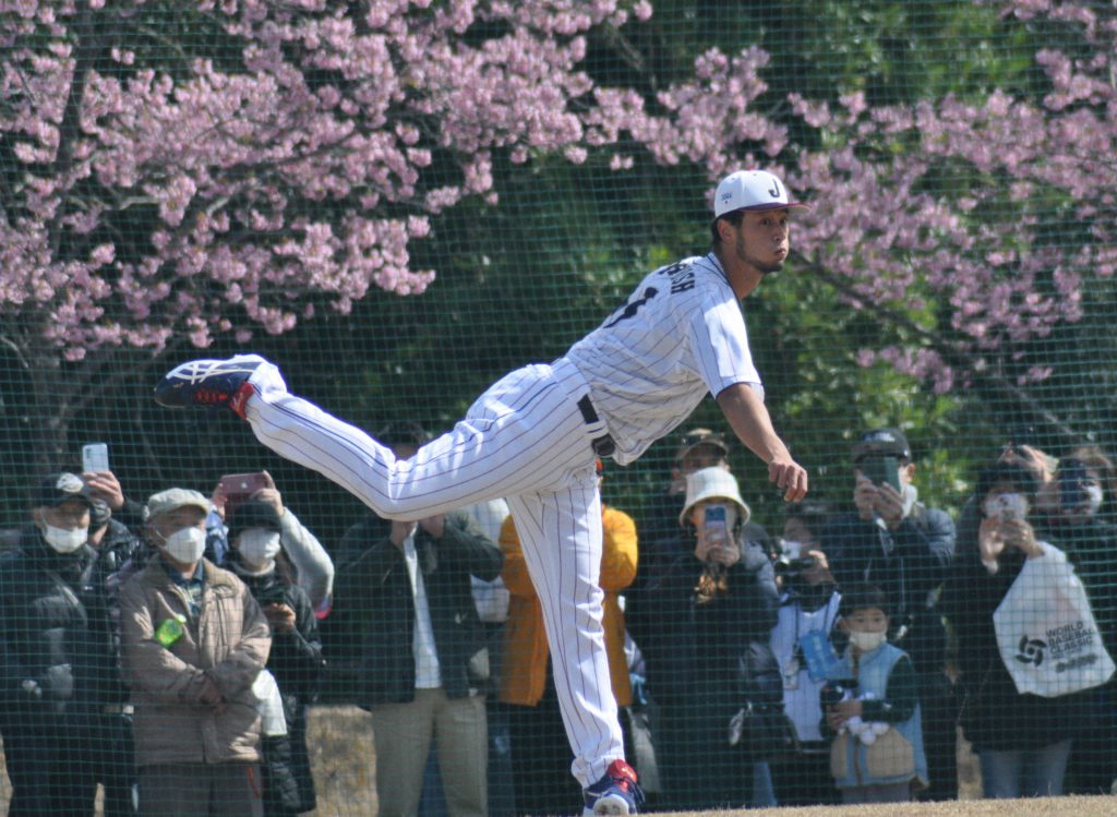 【王選手が育った日本最初の少年野球場】隅田公園少年野球場の石10個セット 王選手が育った日本最初の少年野球場】隅田公園少年野球場の石10