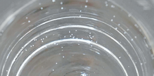 コップの内側の気泡 なぜつくの?【疑問氷解】