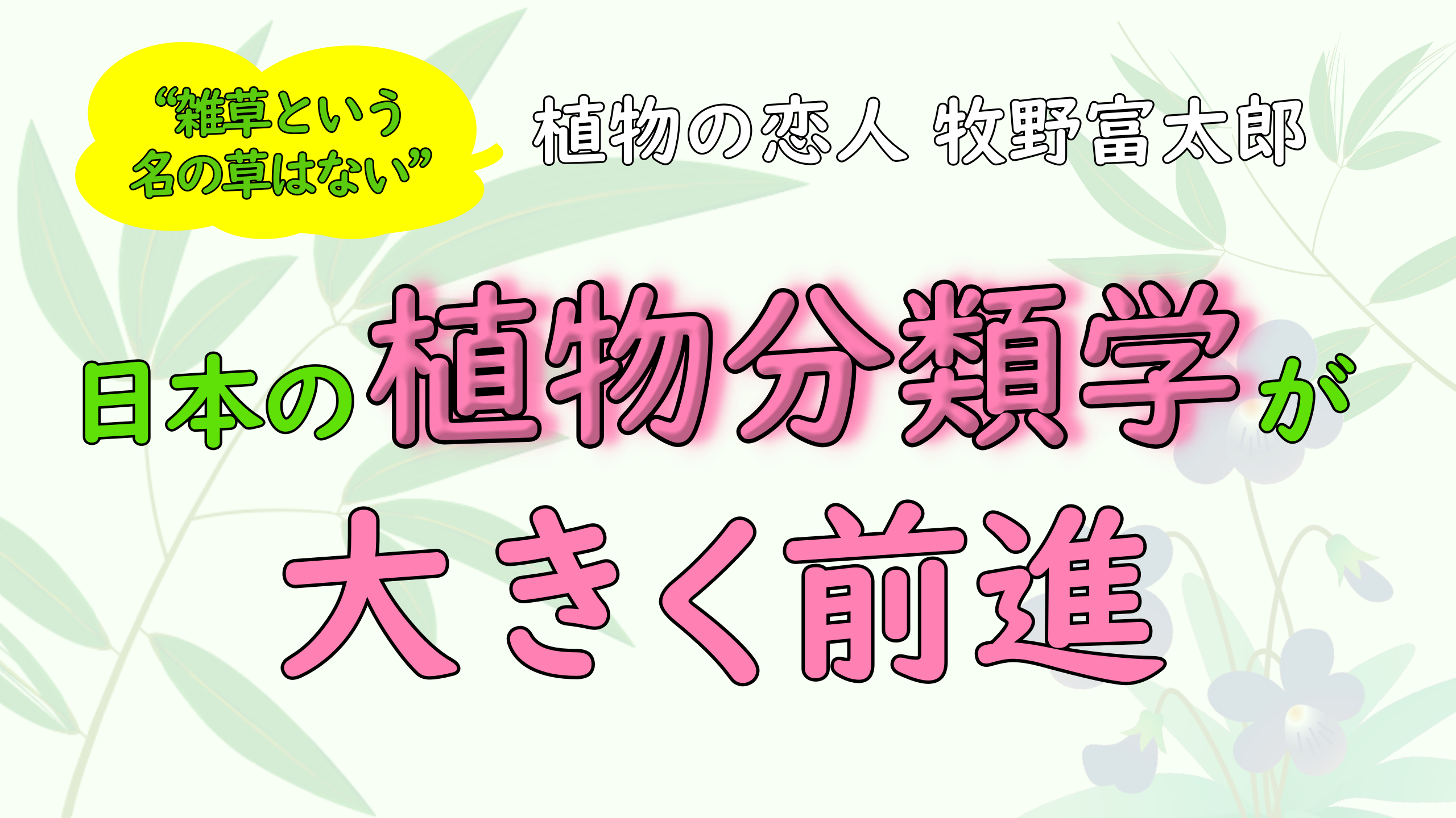 日本の植物分類学が大きく前進｜植物の恋人 牧野富太郎