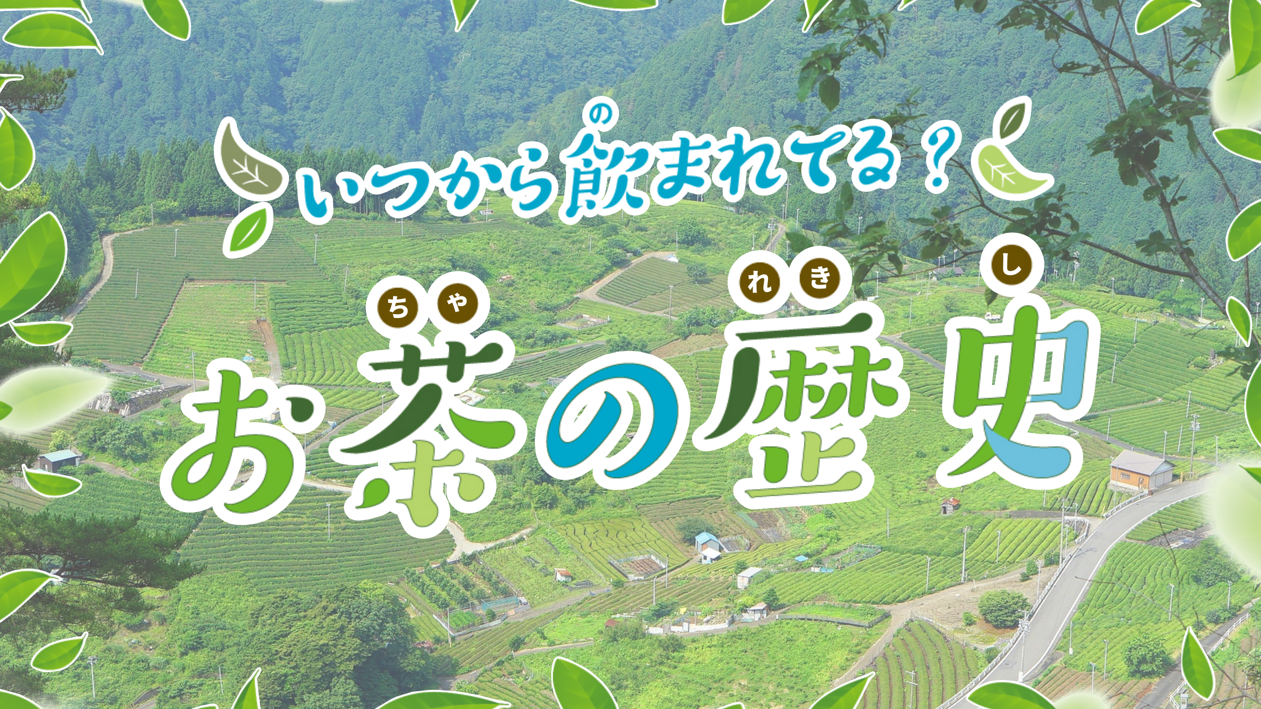 いつから飲まれてる？　お茶の歴史