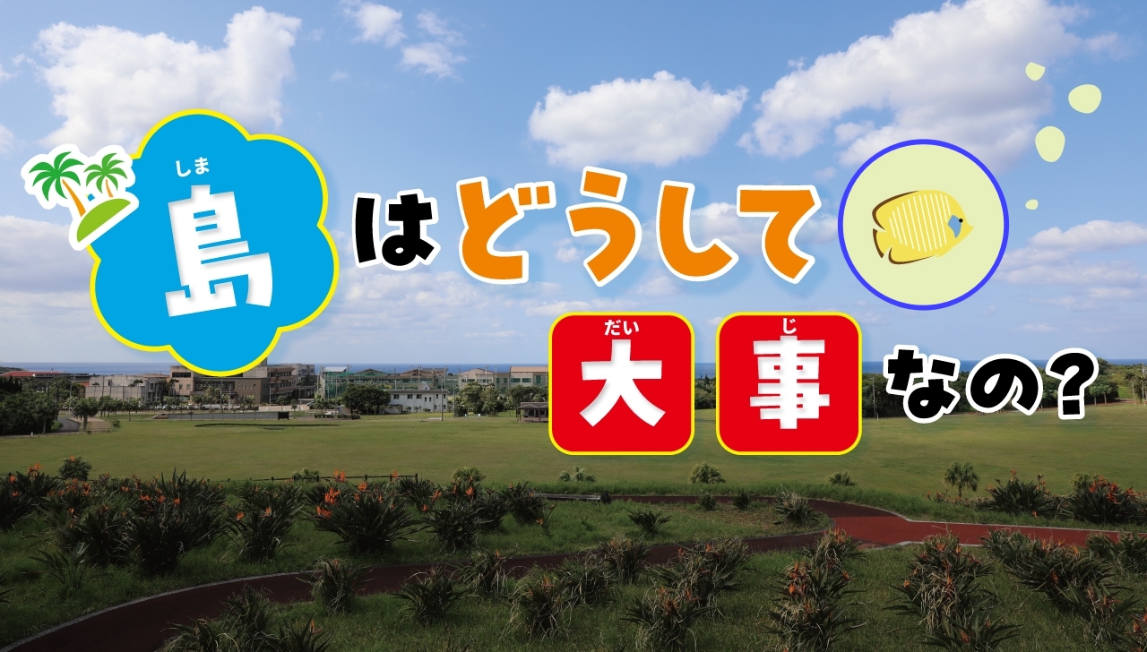 島はどうして大事なの？