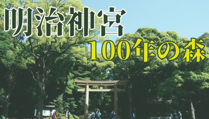 明治神宮 100年の森