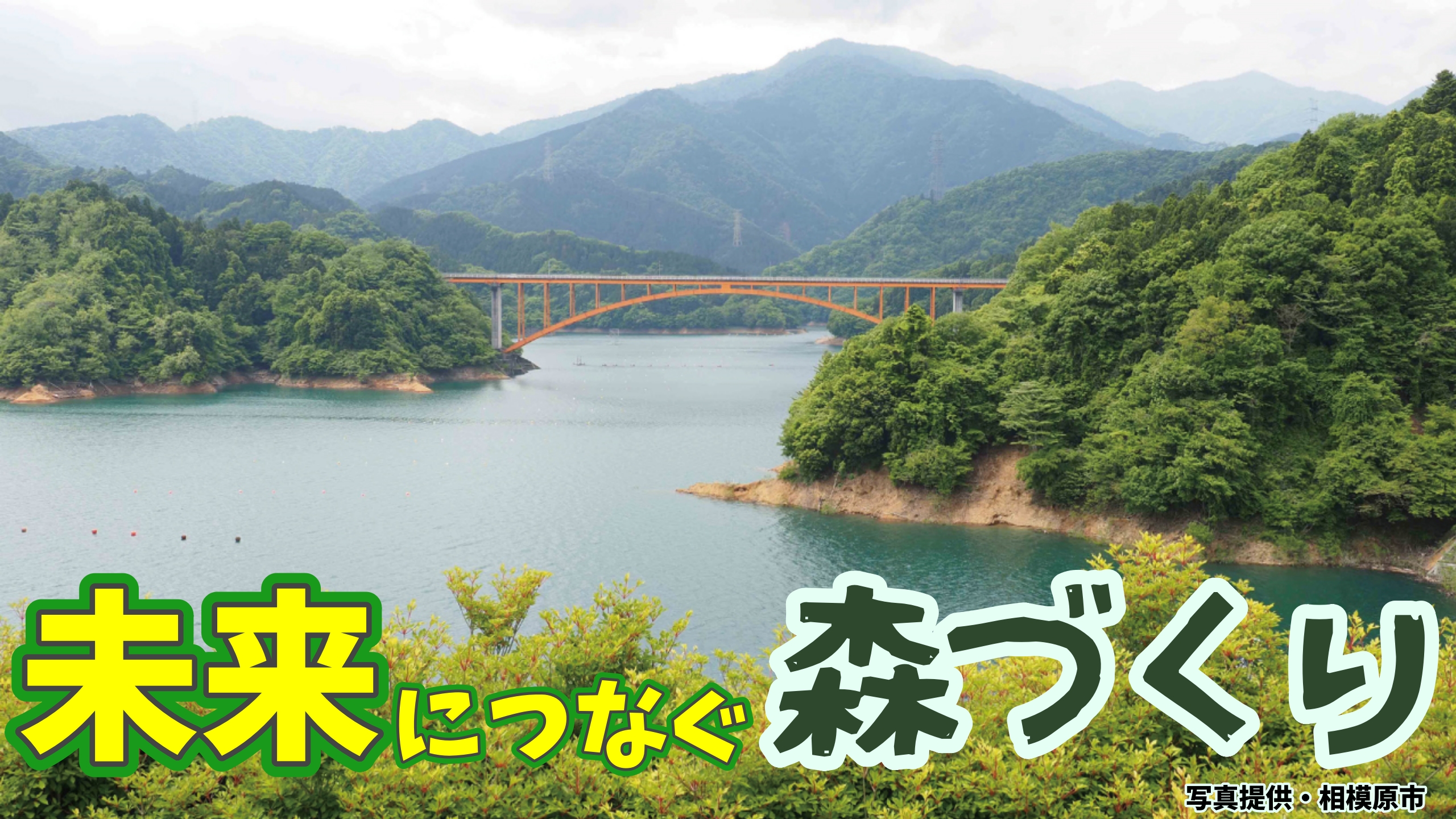 未来につなぐ森づくり