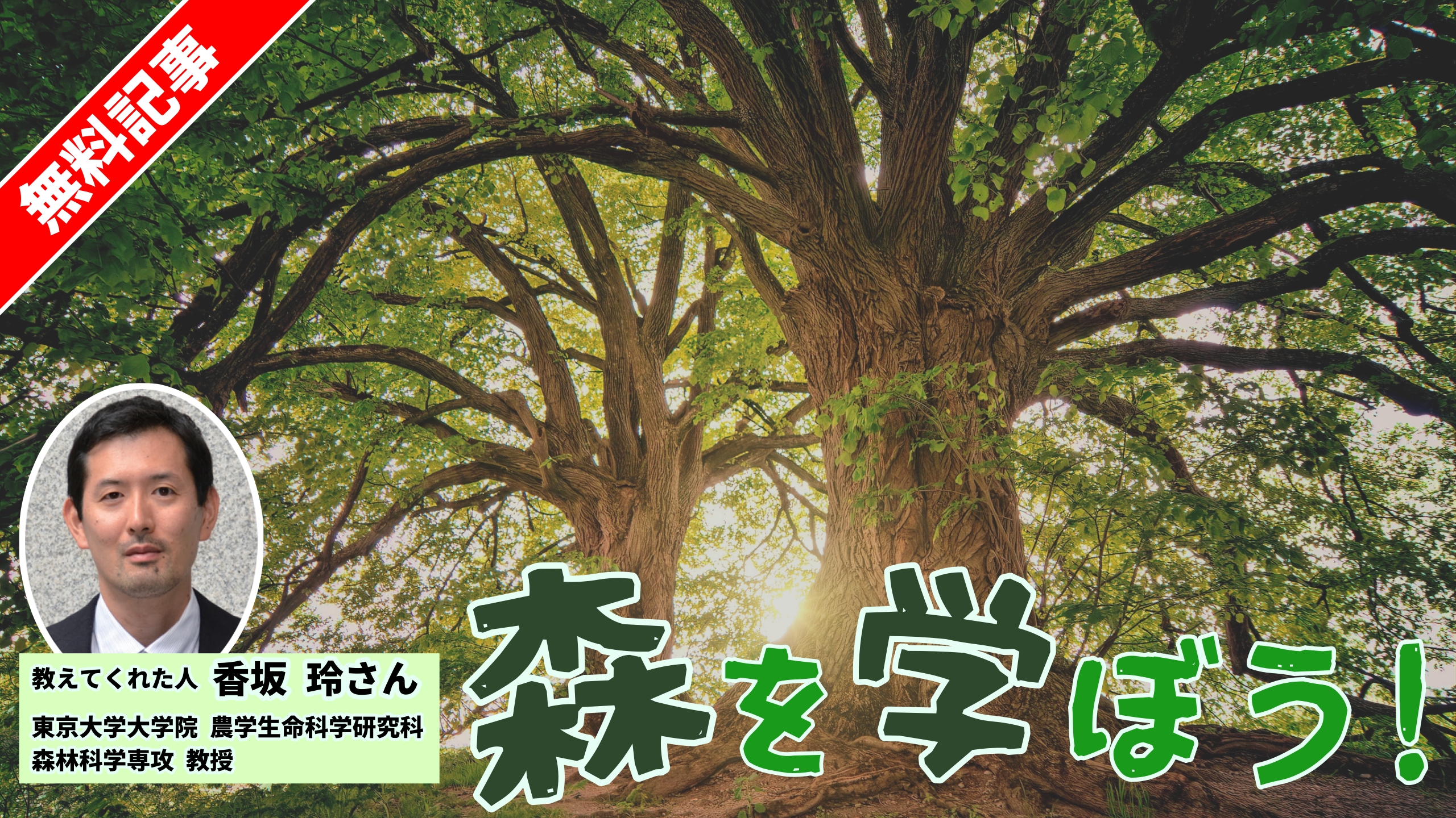 「水源かん養」ってどんな役割？　 森を学ぼう！
