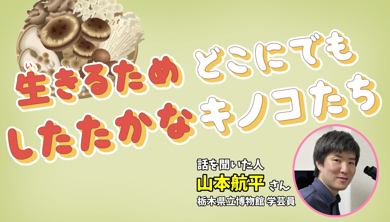 山本江美 ごわつき サマ♡