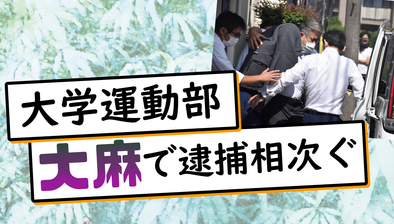 大麻 大学