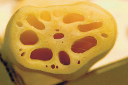 レンコンの穴はなぜ？【疑問氷解】