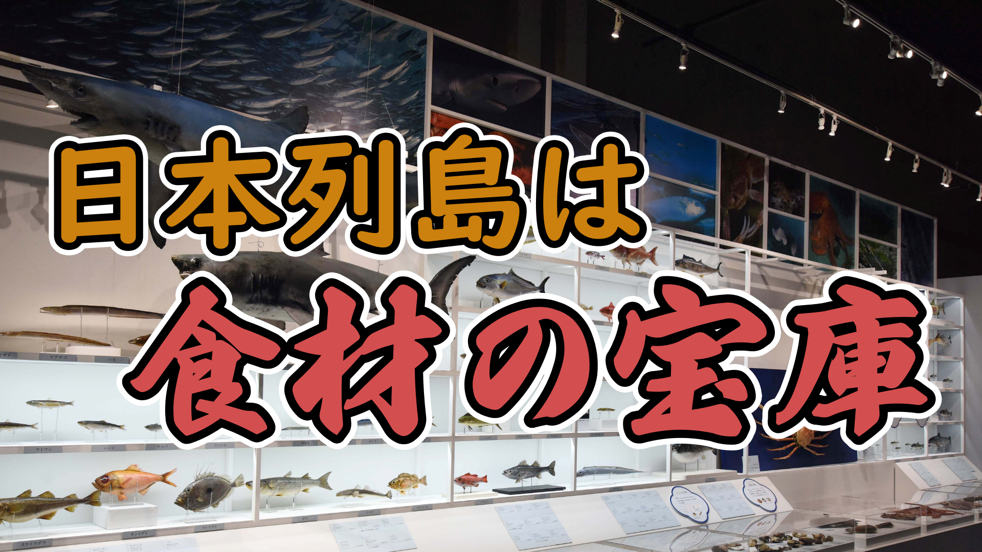 日本列島は食材の宝庫｜知っておいしい！ 和食