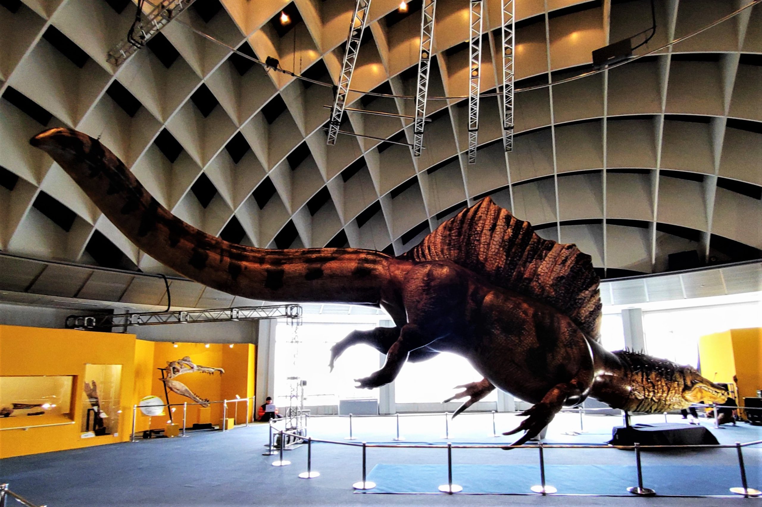 オダイバ恐竜博覧会2024」はじまりました！│子どものためのニュース