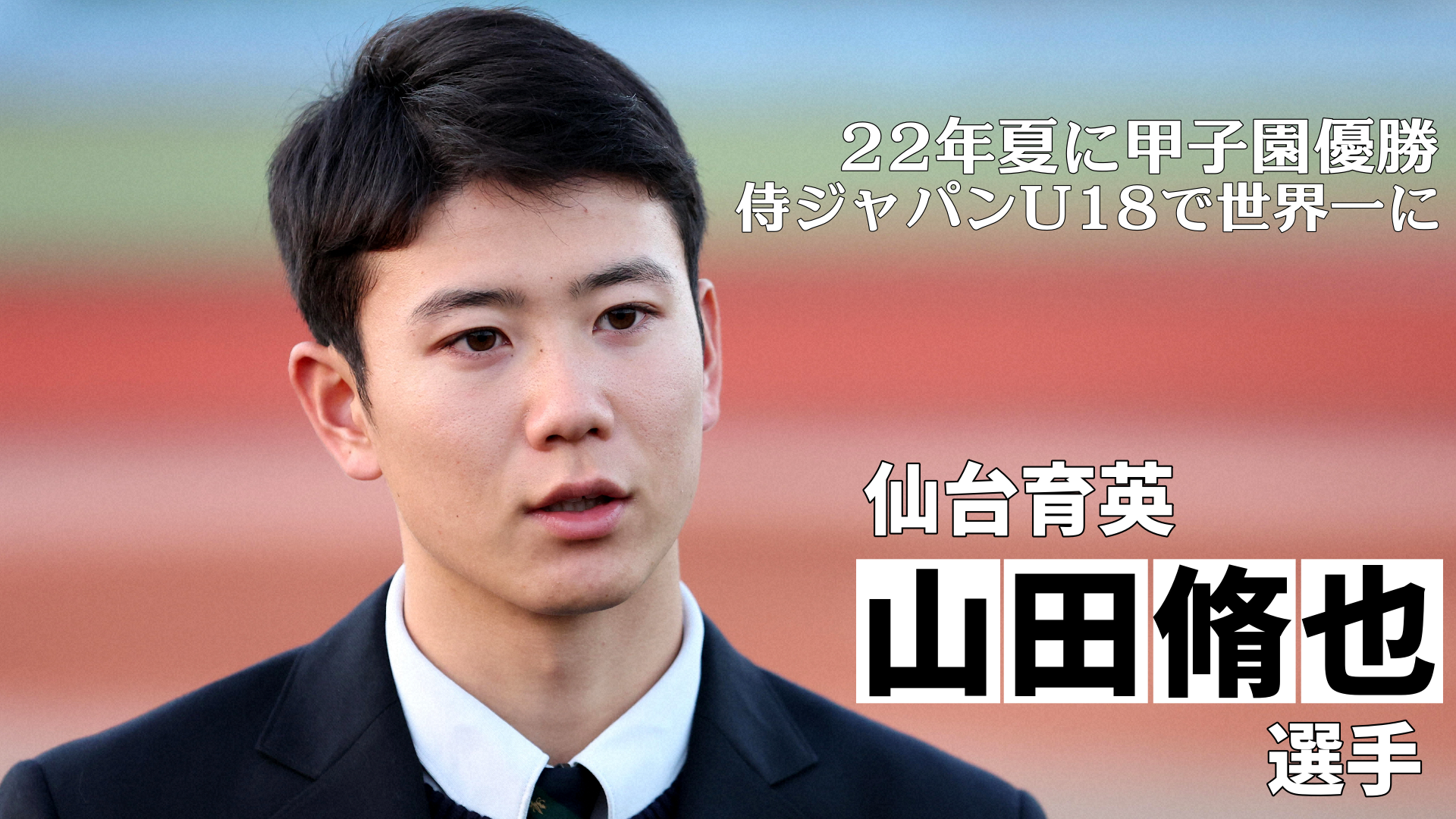 阪神タイガース アルミプレート 球団旗風 （阪神タイガース