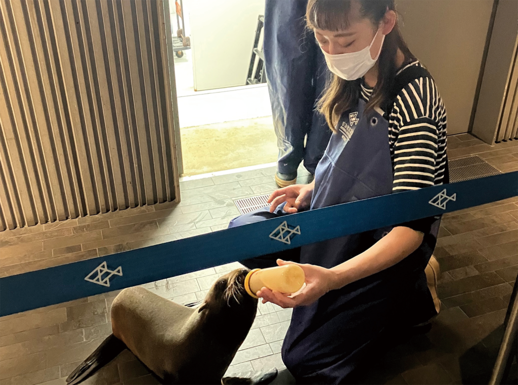 未来の仕事図鑑 水族館の飼育員