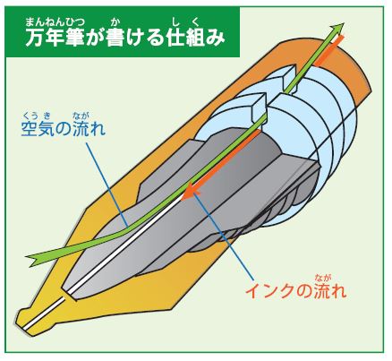 いきもの学級新聞12〜40、42〜49