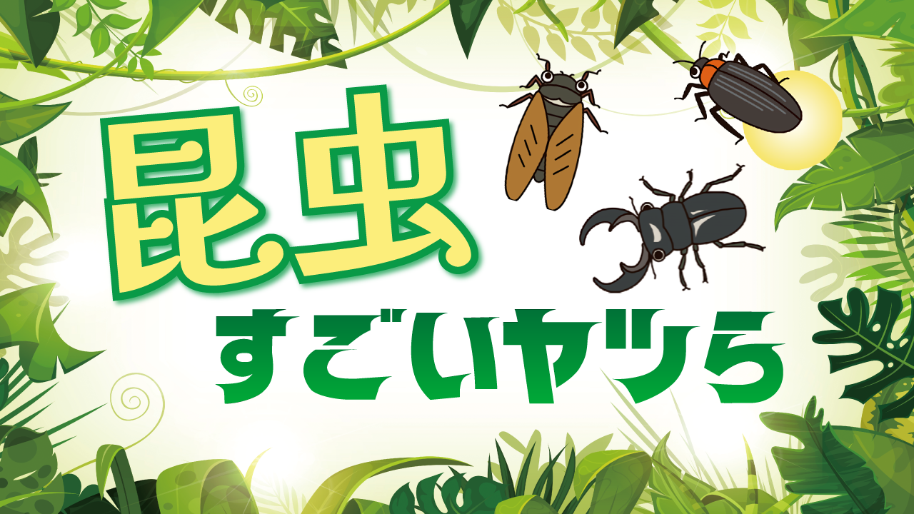 ロシア 幼い姉弟 sex 