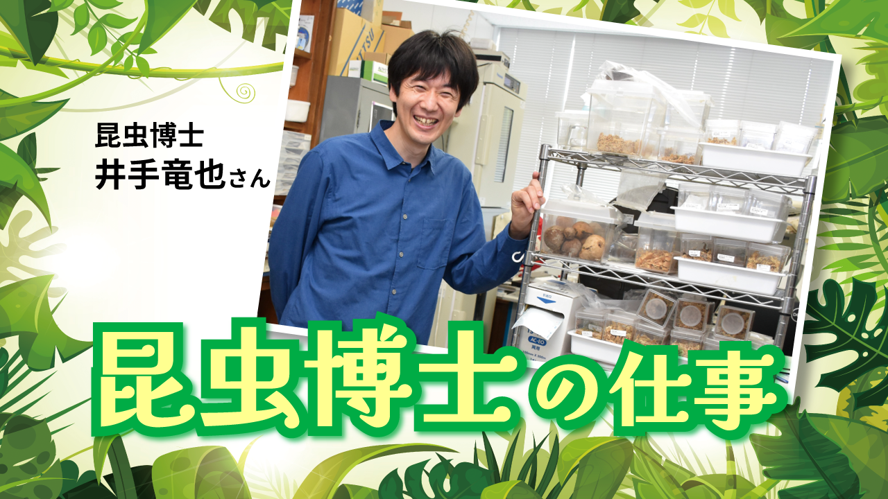 昆虫博士の仕事｜昆虫 すごいヤツら