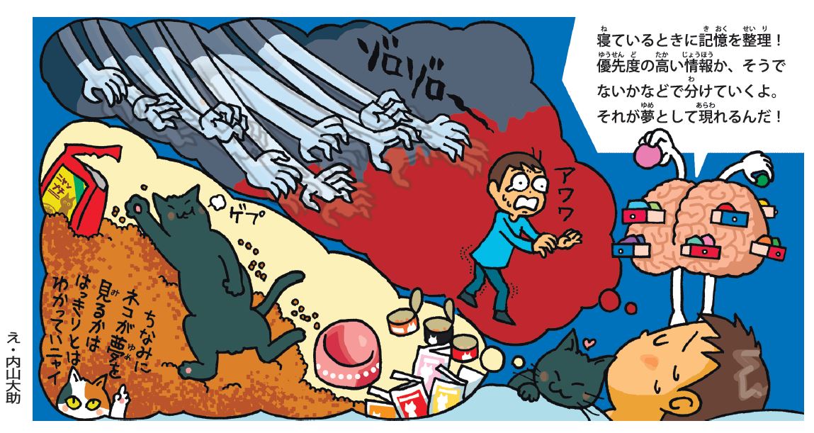 どうして夢を見るの？　起きた時は覚えていても、すぐに忘れてしまうのはなぜ？　【疑問氷解】