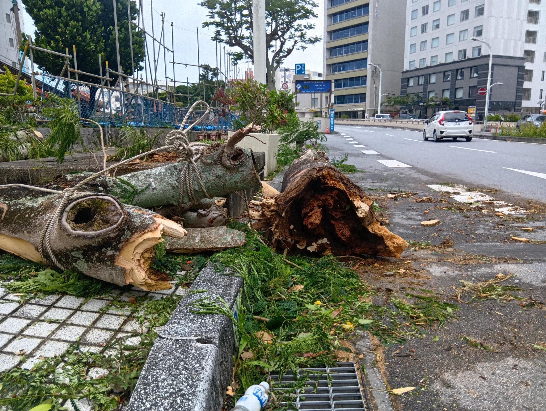 台風の進路はどうやって決まるのか？　【疑問氷解】